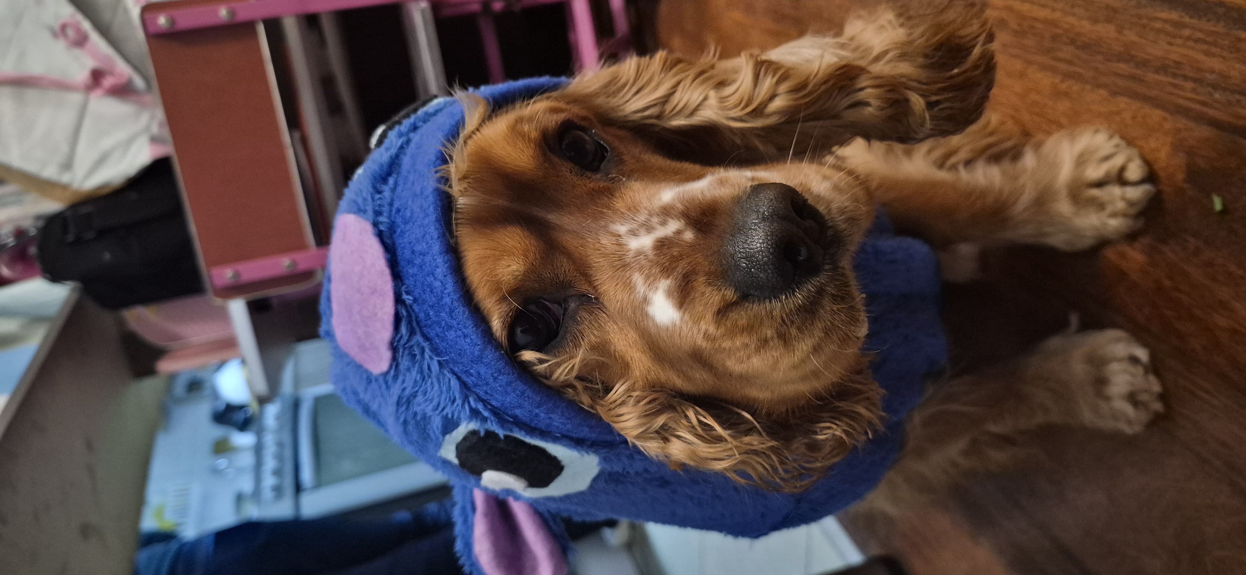 Chester