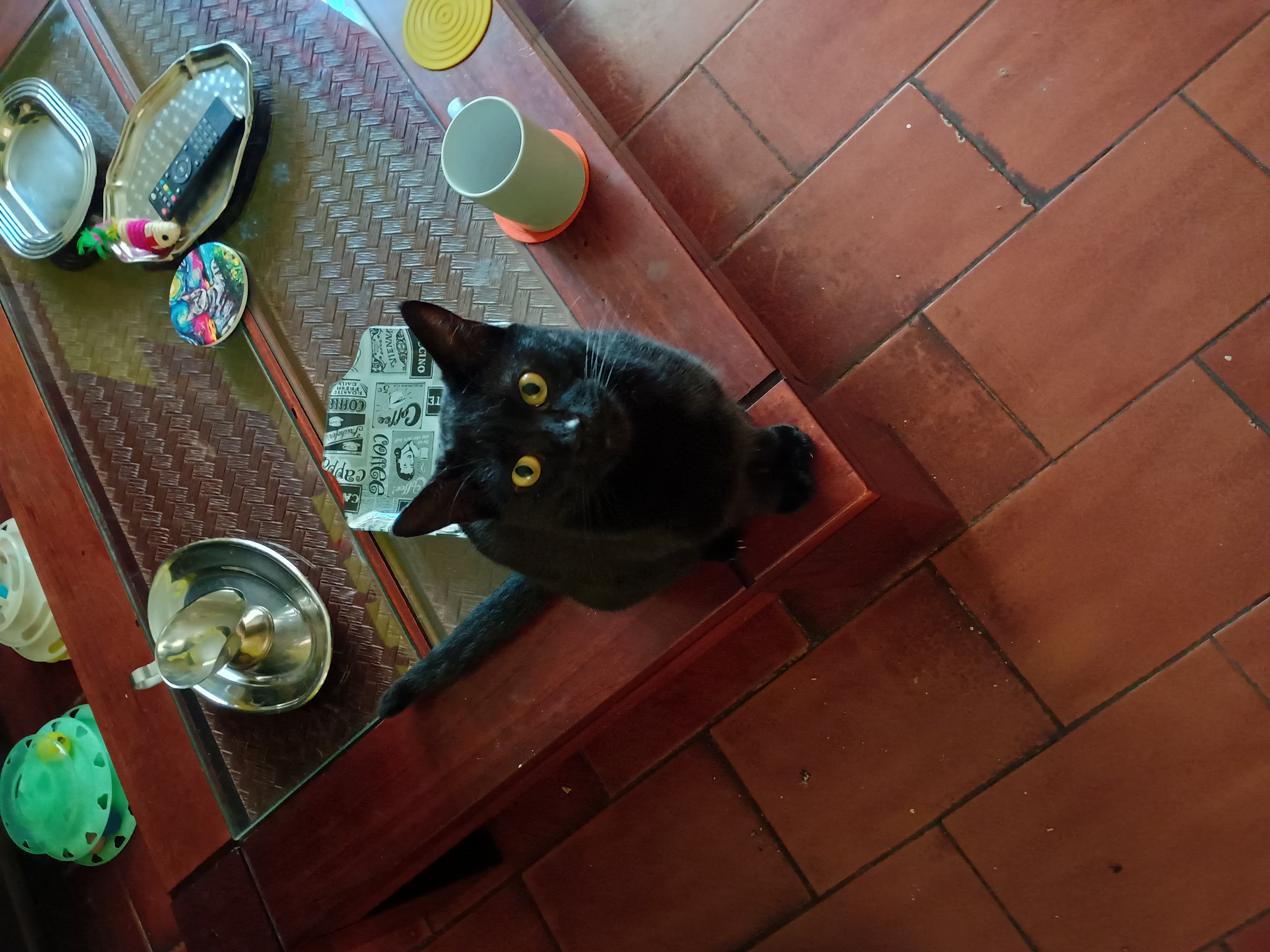 Luna